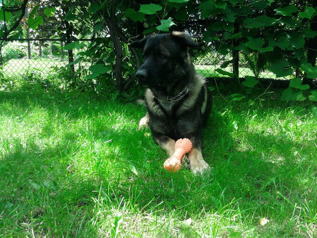 Gosiu dziękuję za to że jesteś .