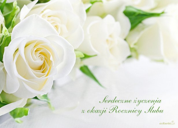 4 rocznica ślubu  Helenki i  Hirka