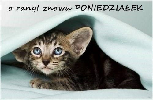 Nostalgiczna jesień