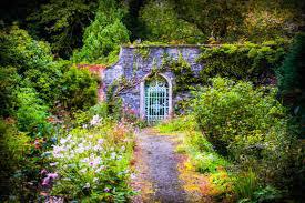 tajemniczy ogród
