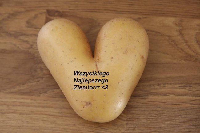 17 ziemniaków już za Wiką