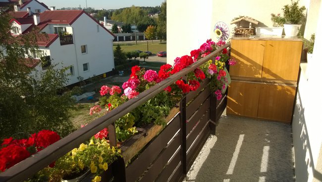 Mieszkanie Gdynia Dąbrówka