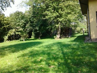 .......................