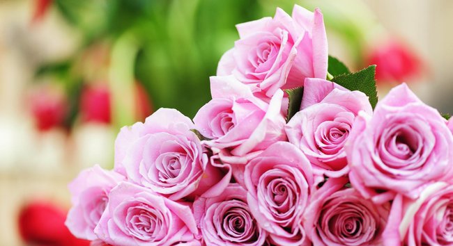 Pozdrawiam najmilej ..