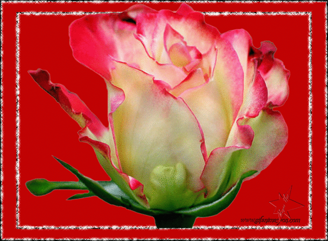 Moje Myśli Są Zawsze Przy Tobie