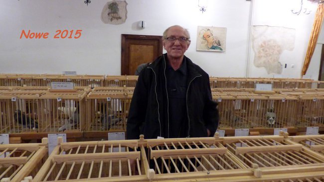 Wystawa gołębi pocztowych w Nowem