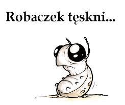 Robaczek