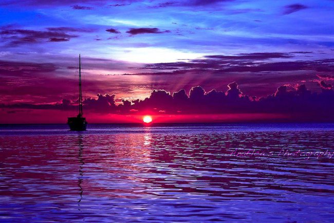 Kocham   ciebie  całym  sercem