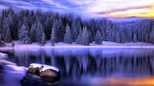 W poszukiwaniu ciebie