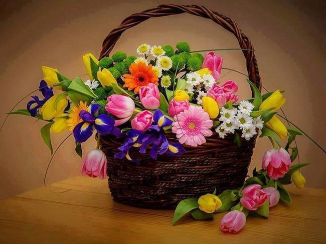 PRZYJACIÓŁCE BASIEŃCE