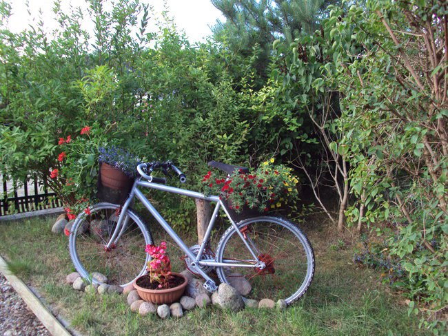 Życzenia dla Barbary