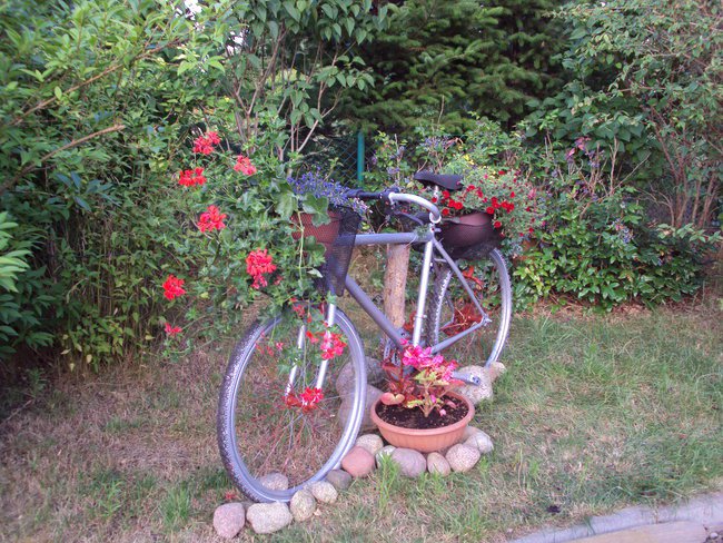 Życzenia Imieninowe dla Barbar