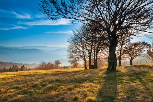 Grupa Przyjaciół na NK R-40