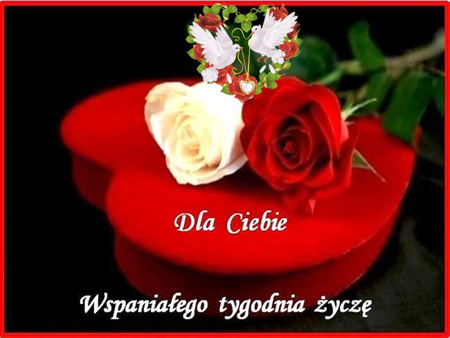 PONIEDZIAŁEK-NOWY RYDZIEŃ