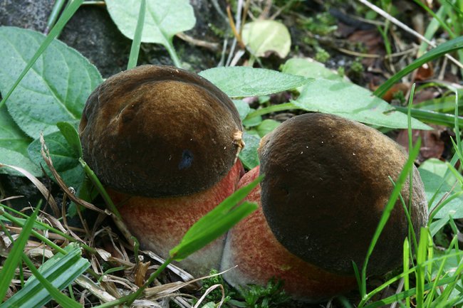 slonecznej niedzieli