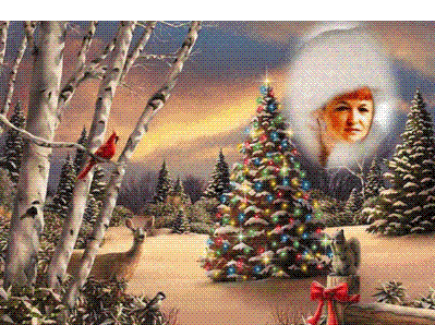 Z OKAZJI SWIAT BOZEGO NARODZENIA ORAZ NOWEGO ROKU 2016