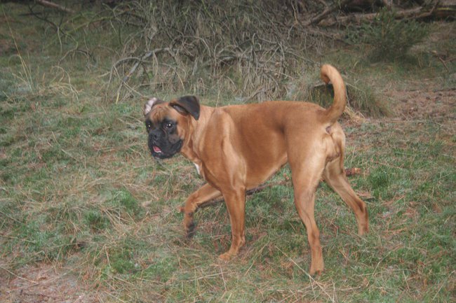 Moj przyjaciel Kayra