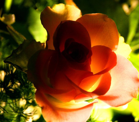 Najserdeczniejsze życzenia urodzinowe...