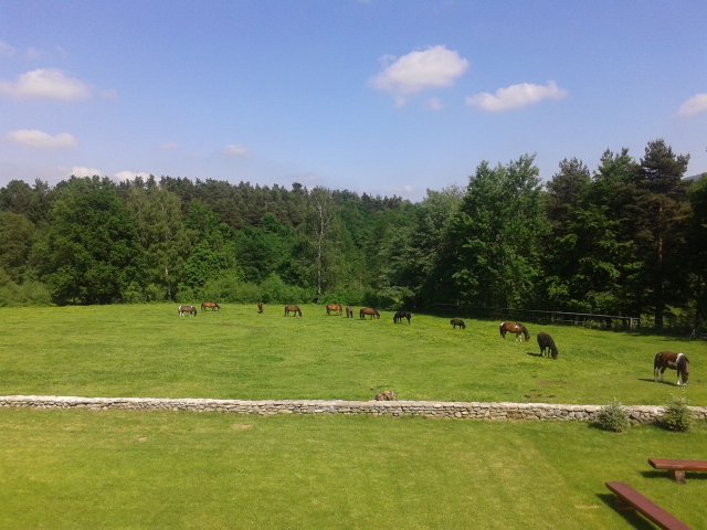 WSZYSTKIEGO NAJLEPSZEGO JAŚMINA!