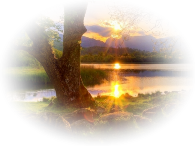 DLA PRZYJACIOŁ   MIECZYSŁAWA