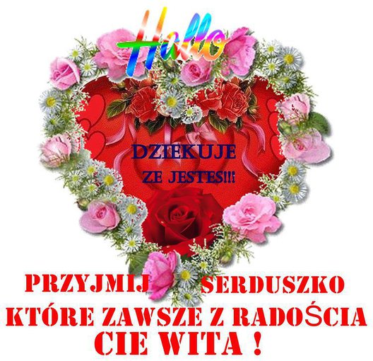 Dla moich przyjaciól.