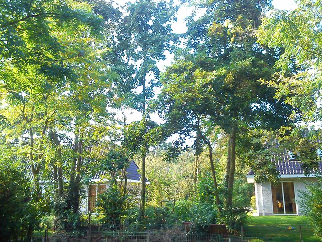 Hondzia jest starą dupą :) Najlepszości!