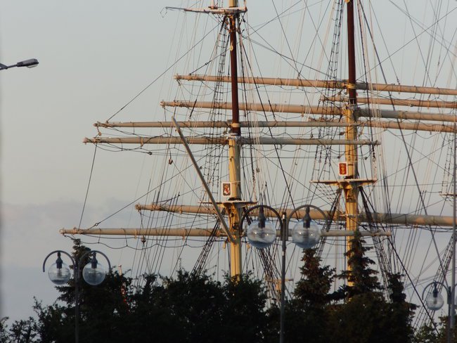 Wiola Jarek i Wiktor