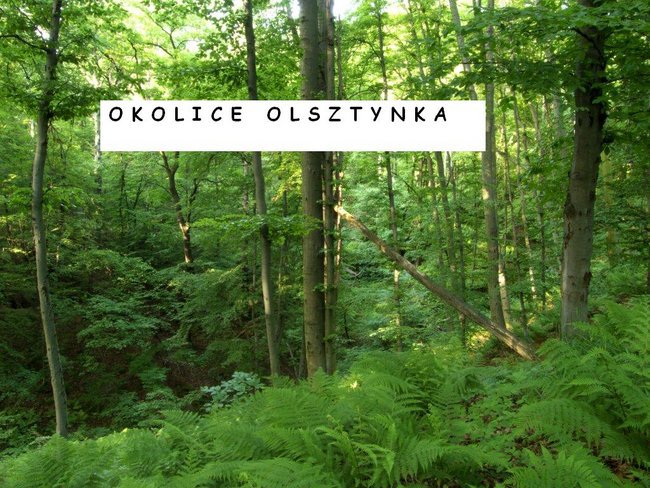 OKOLICE OLSZTYNKA-MAZURY