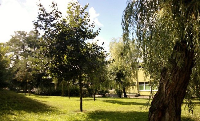 Radziejowska biblioteka dla dzieci