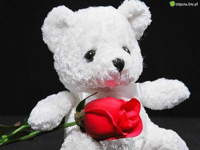 dla MILEJ I SERDRCZNEJ JOASI