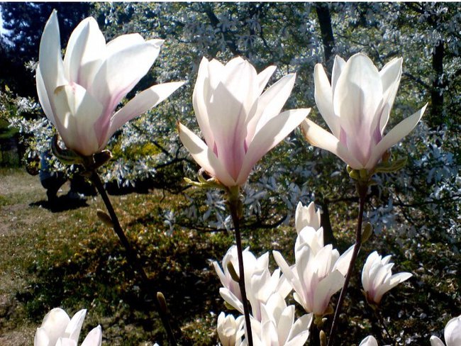 Każdy z nas ma taką cichą nadzieję