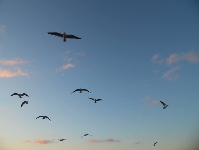 Muzyka morza...mojego morza