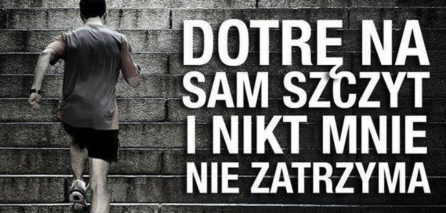 Majson - zyj i nie daj sie