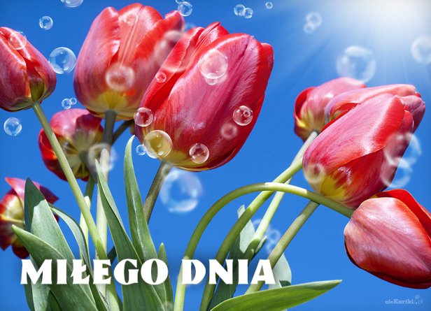 Miłość jest wielka  Lecz mija jak mgła.  Przyjaźń jest cicha  Lecz długo trwa.