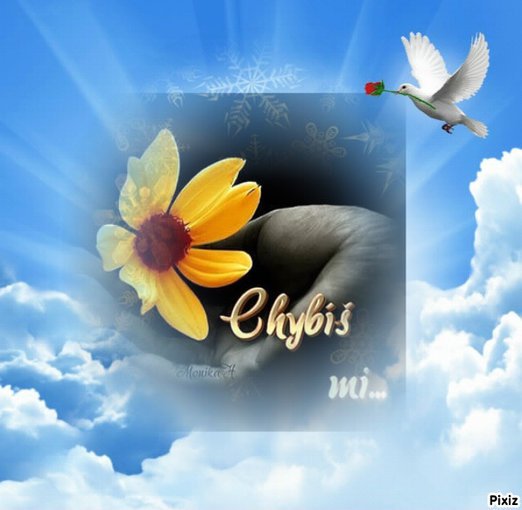 VZPOMINKA NA MIROSLAVA