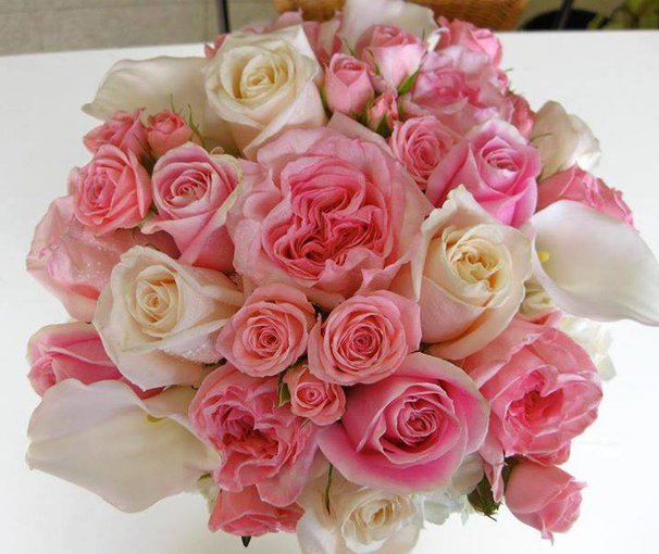 Kobietki...Kobietki Dziś Nasze Święto