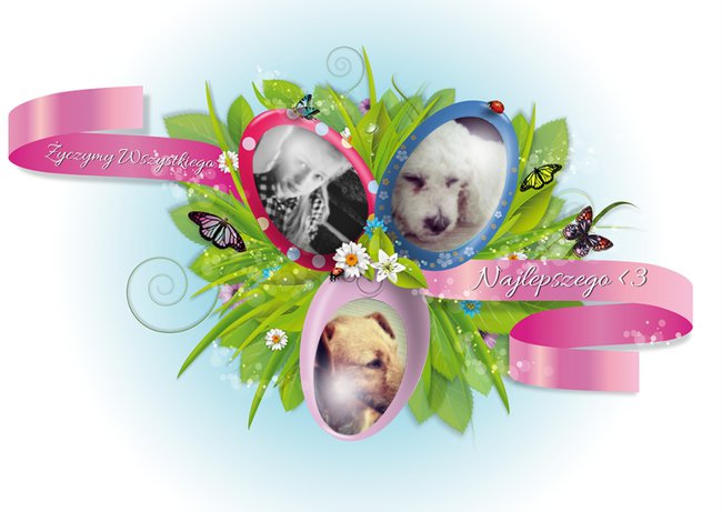 Wszystkiego Najlepszego