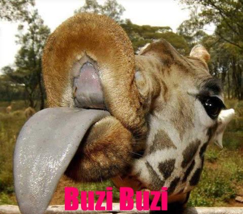 STO LAT I JESZCZE WIĘCEJ!!