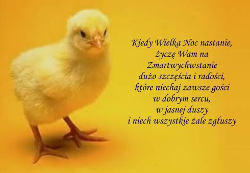 Życzenia Świąteczne