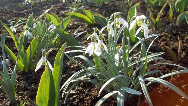 Kapliczka  Świętych , Jasień Lubuskie