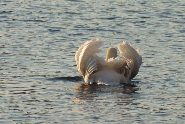 O zachodzie nad Maleszewem...