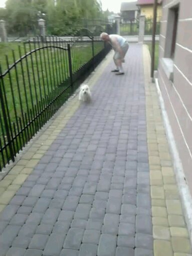 lalo lato lato czeka