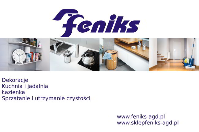 Prezentacja Feniks Sp.J T.Niewczas M.Rosłaniec W.Gołębiewski