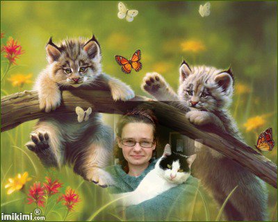 członkowie grupy mw