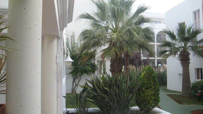 *H@LIN@* *P@LK@ * (STOPA