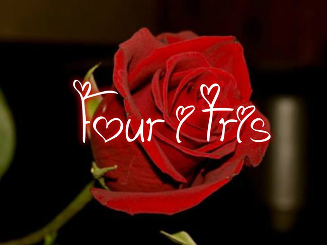 Kilka par z Niezgodnej, IŚ, HP