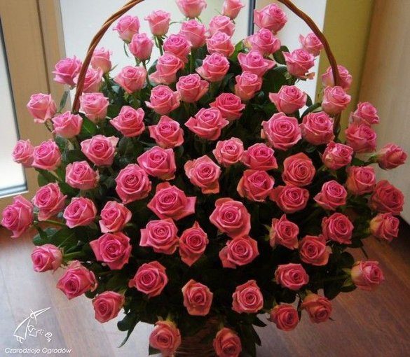 8 URODZINY NATALKI 20 KWIECIEN 2016