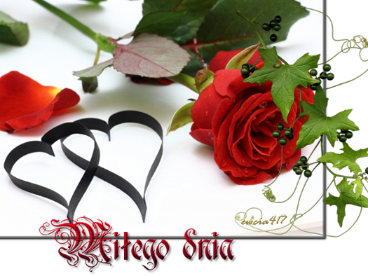 pozdrawiam  cieplutko