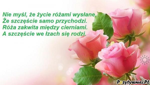 Droga do słońca...