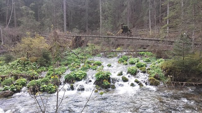 Zakopane